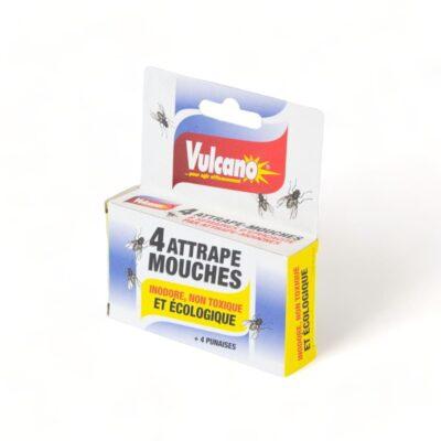 Maison Aurouze-Vulcano-attrape-mouches-boite